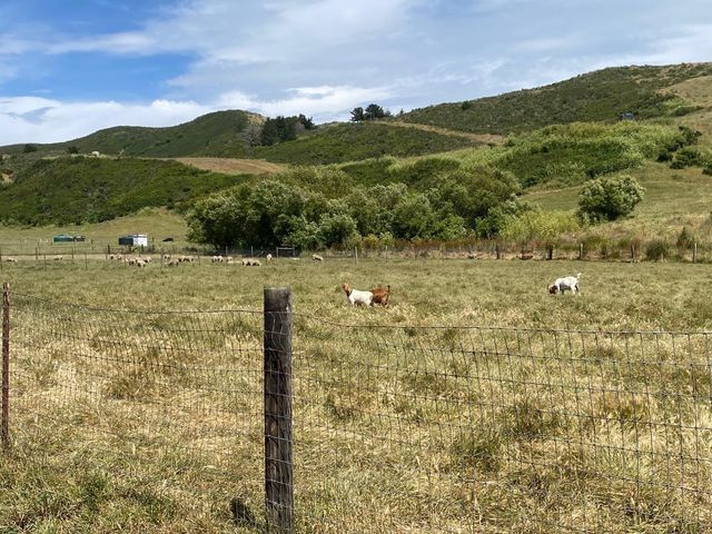 746 Tunitas Creek Road, Half Moon Bay, CA 94019