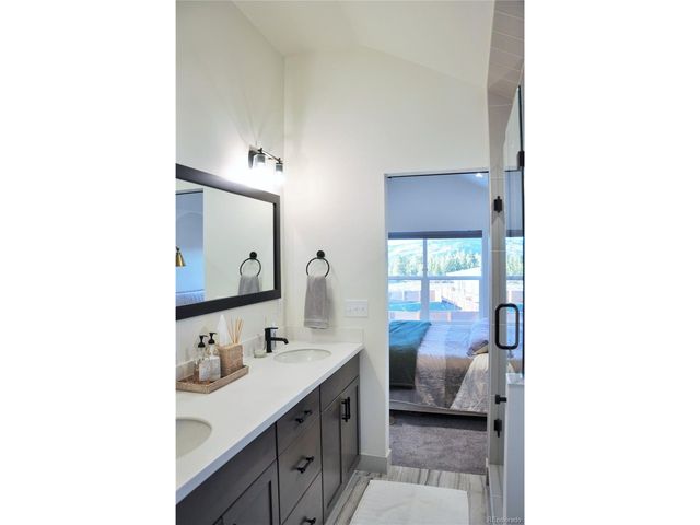 1310 Silver Vault St, Leadville, CO 80461