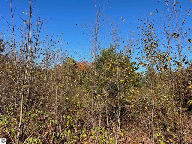 8812 Hemlock Hill Drive, Traverse City, MI 49685