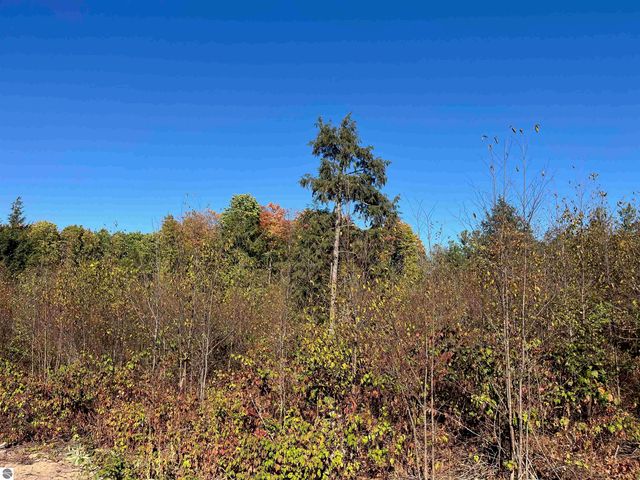 8812 Hemlock Hill Drive, Traverse City, MI 49685