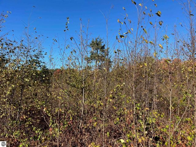 8812 Hemlock Hill Drive, Traverse City, MI 49685