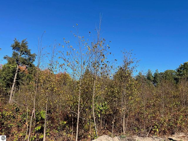 8812 Hemlock Hill Drive, Traverse City, MI 49685