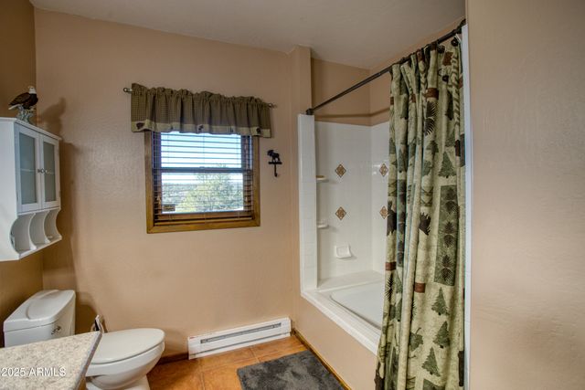 3651 Zane Grey Trail, Overgaard, AZ 85933