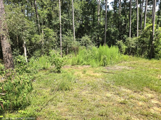 161 Veteran Lane, Livingston, TX 77351