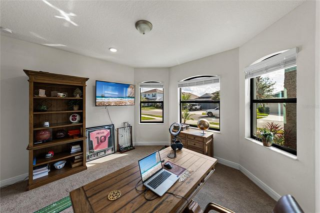 34155 EVERGREEN HILL COURT, Wesley Chapel, FL 33545