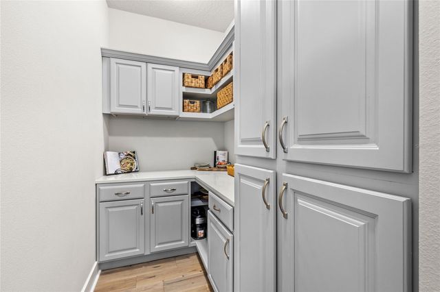 25620 GRANDVIEW POINTE, Sorrento, FL 32776