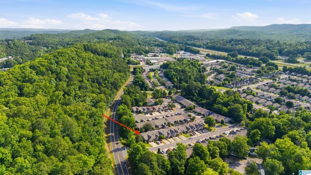 101 COALES BRANCH DRIVE, Pelham, AL 35124