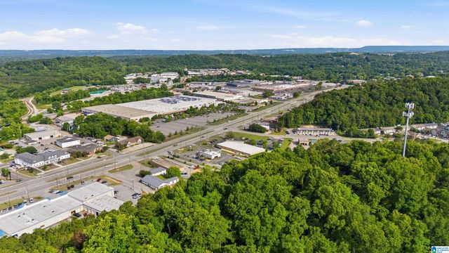 101 COALES BRANCH DRIVE, Pelham, AL 35124