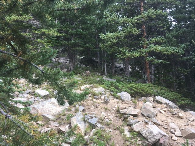 Nebraska Circle, Idaho Springs, CO 80452
