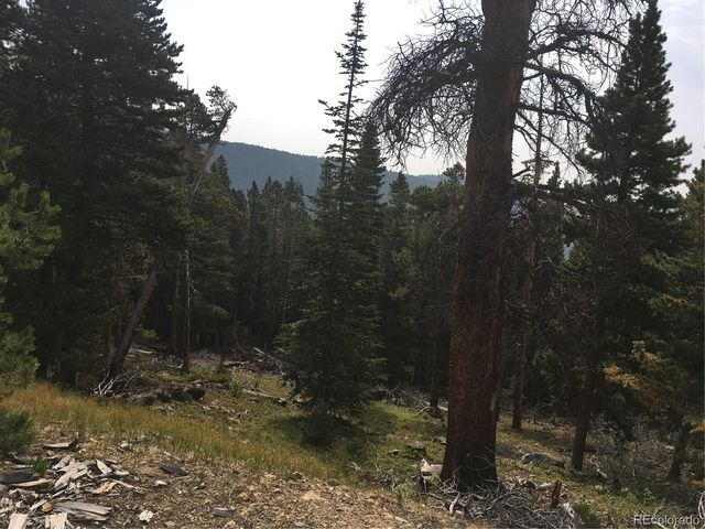 Nebraska Circle, Idaho Springs, CO 80452