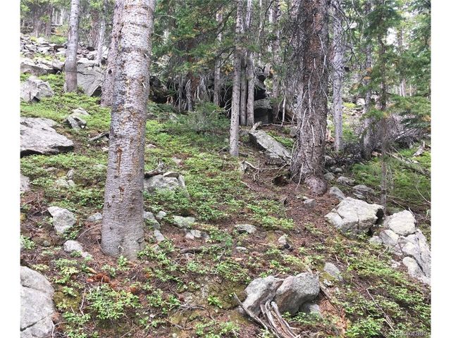 Nebraska Circle, Idaho Springs, CO 80452