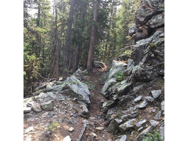 Nebraska Circle, Idaho Springs, CO 80452