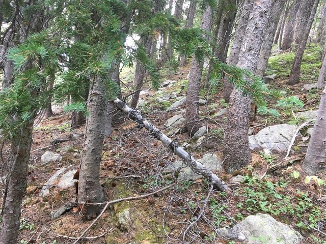 Nebraska Circle, Idaho Springs, CO 80452