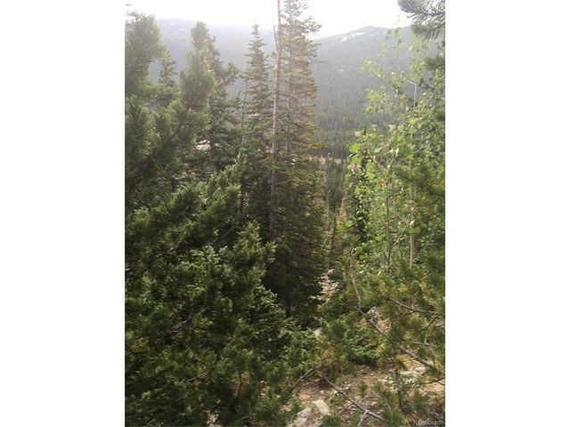Nebraska Circle, Idaho Springs, CO 80452