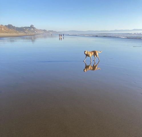 33 Aqua View Drive, Watsonville, CA 95076