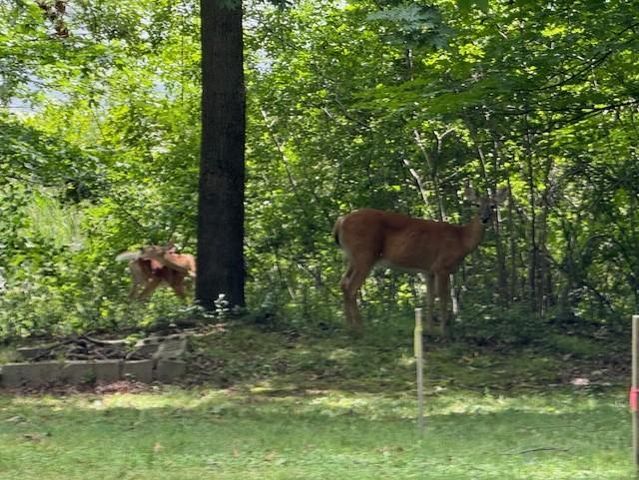 51XX Waterbury Road, Mound, MN 55364