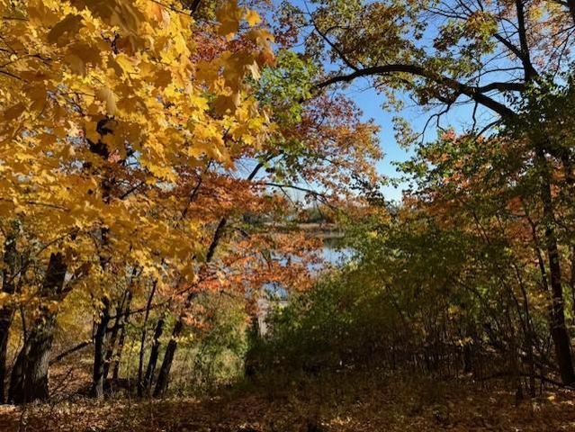 51XX Waterbury Road, Mound, MN 55364