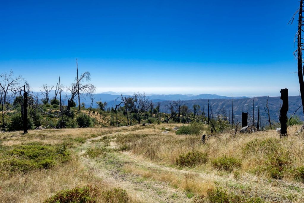 11111 Lower Cressman Road, Shaver Lake, CA 93664