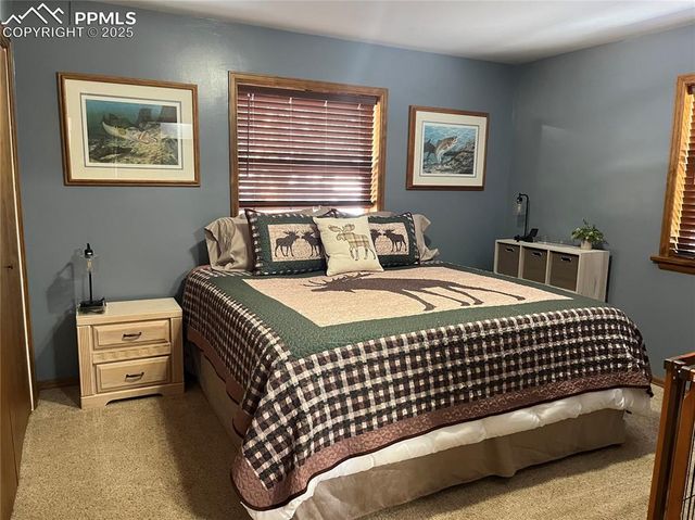 1234 Edelweiss Drive, Westcliffe, CO 81252