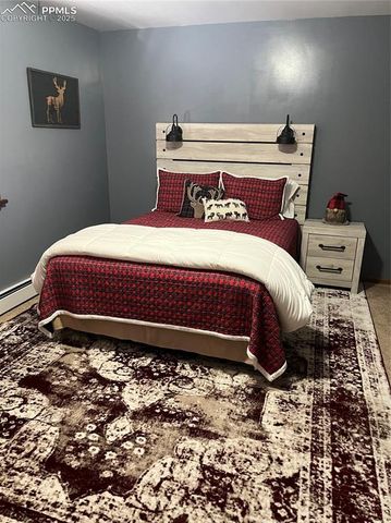 1234 Edelweiss Drive, Westcliffe, CO 81252