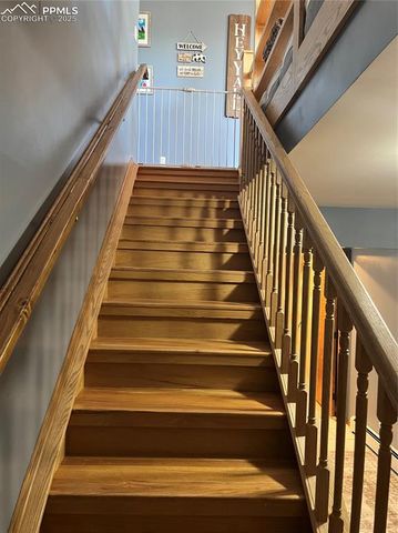 1234 Edelweiss Drive, Westcliffe, CO 81252