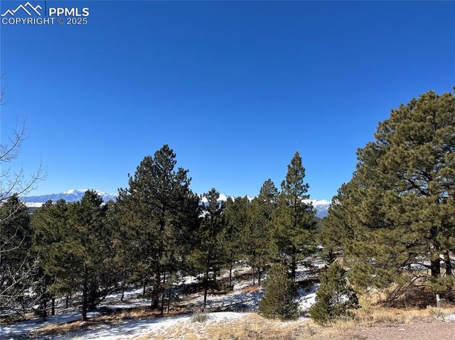 1234 Edelweiss Drive, Westcliffe, CO 81252