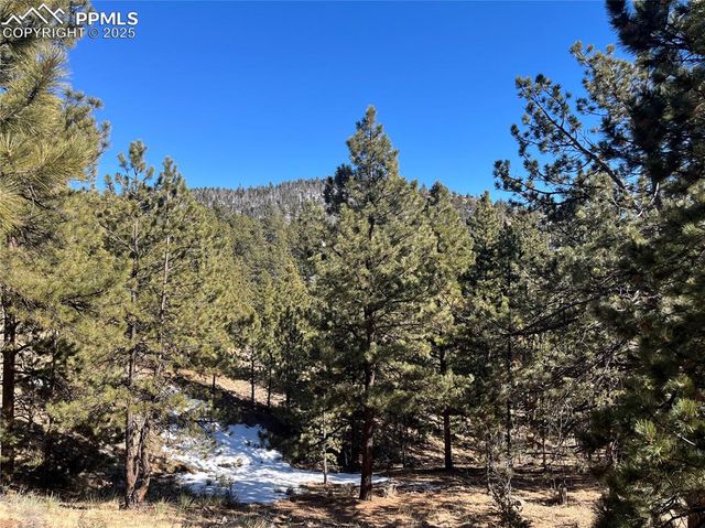 1234 Edelweiss Drive, Westcliffe, CO 81252