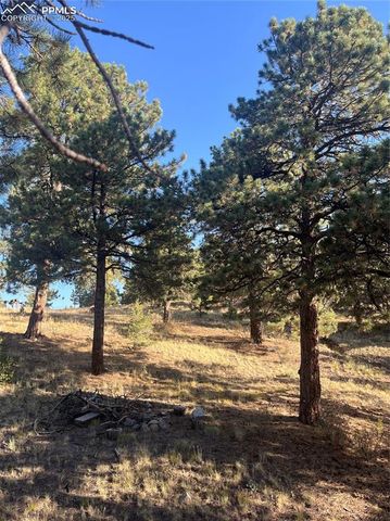 1234 Edelweiss Drive, Westcliffe, CO 81252