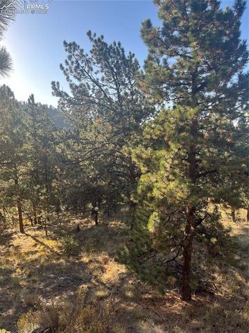 1234 Edelweiss Drive, Westcliffe, CO 81252