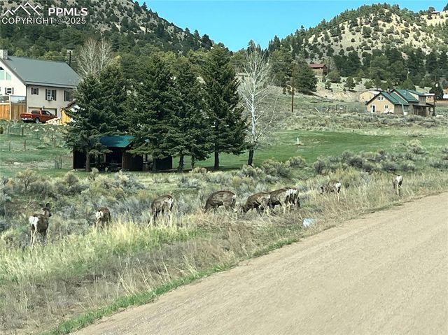 1234 Edelweiss Drive, Westcliffe, CO 81252