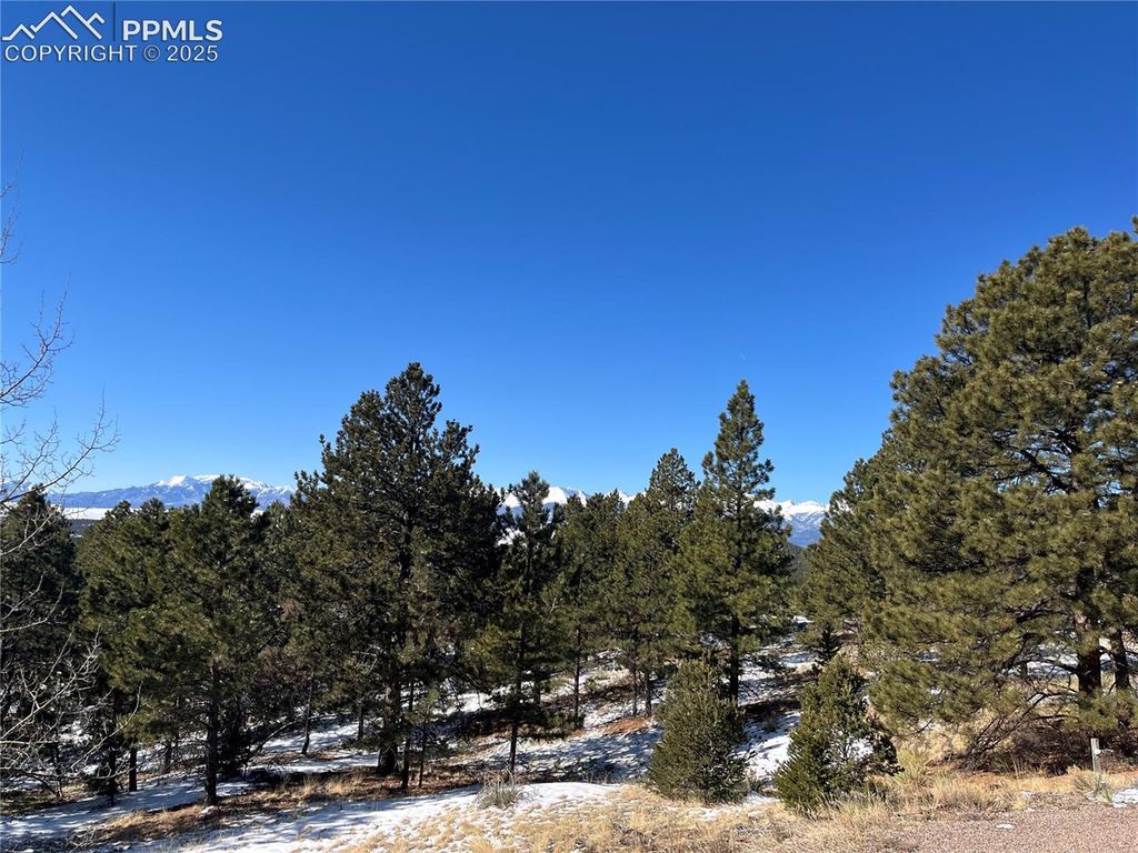 1234 Edelweiss Drive, Westcliffe, CO 81252 — photo 2