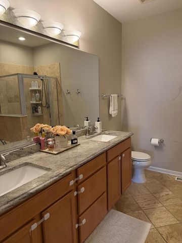 10646 Gabrielle Lane, Orland Park, IL 60462