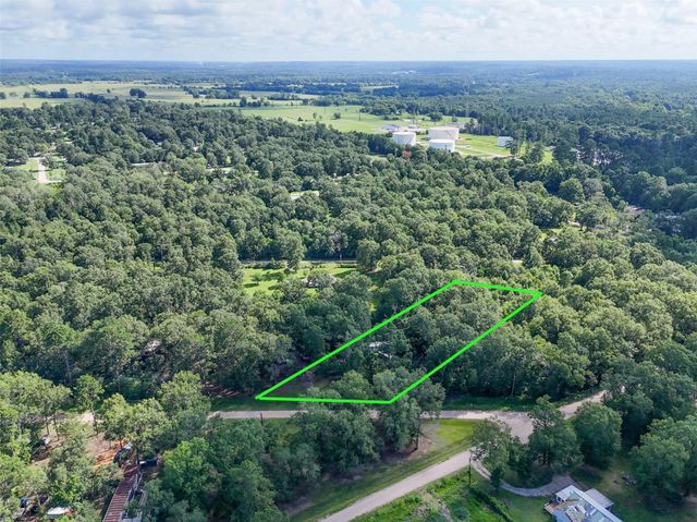 116 San Juan, Goodrich, TX 77335