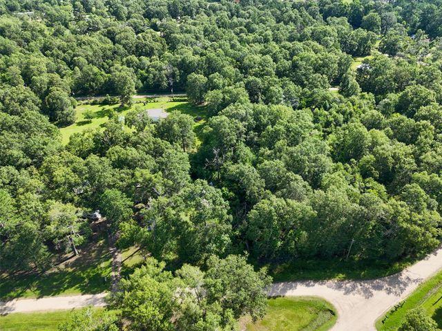 116 San Juan, Goodrich, TX 77335