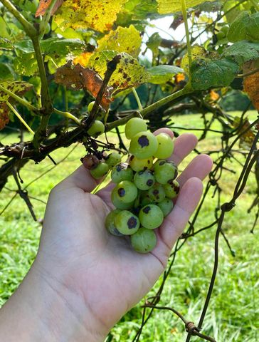 345 Fairview Road, Columbia, KY 42728