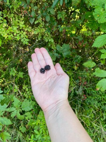 345 Fairview Road, Columbia, KY 42728