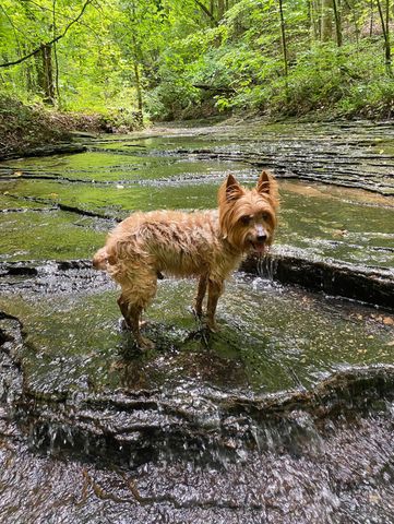 345 Fairview Road, Columbia, KY 42728