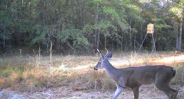 1653 Private Road 8160, Lovelady, TX 75851