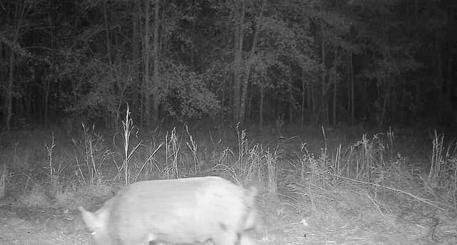 1653 Private Road 8160, Lovelady, TX 75851