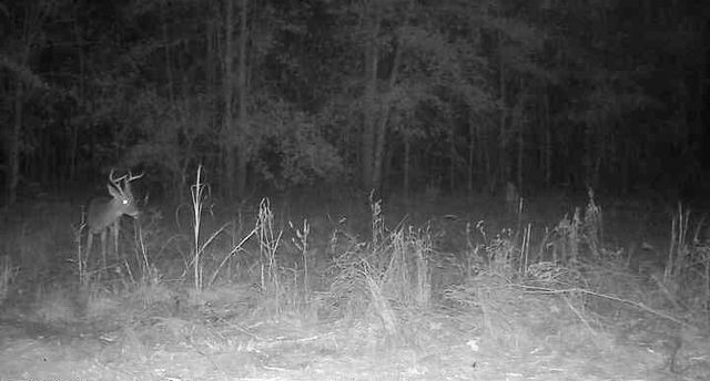 1653 Private Road 8160, Lovelady, TX 75851