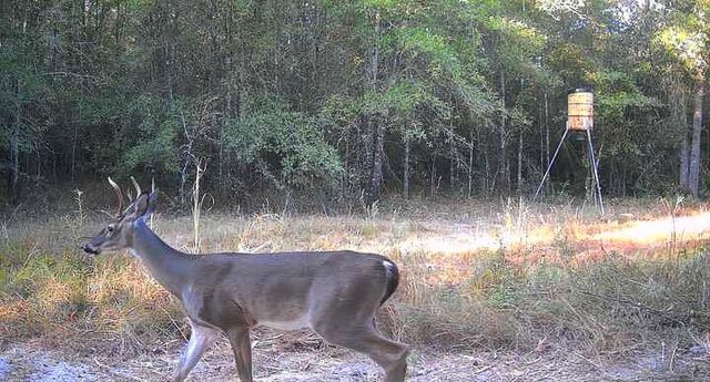 1653 Private Road 8160, Lovelady, TX 75851