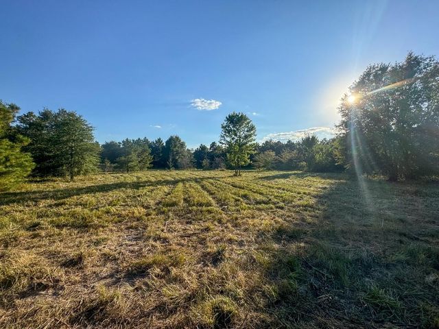 1653 Private Road 8160, Lovelady, TX 75851