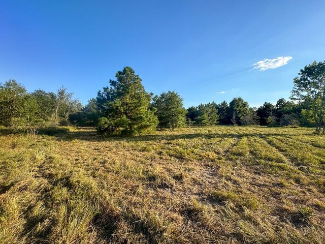 1653 Private Road 8160, Lovelady, TX 75851