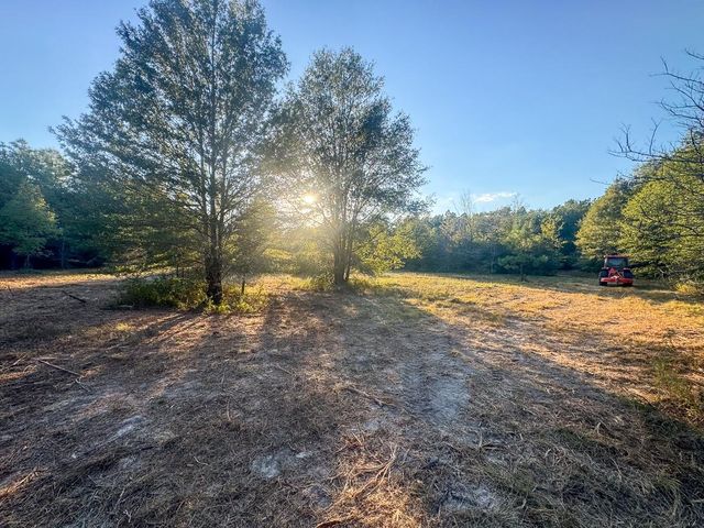 1653 Private Road 8160, Lovelady, TX 75851