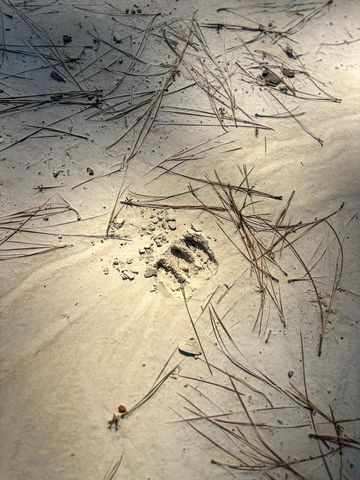 1653 Private Road 8160, Lovelady, TX 75851