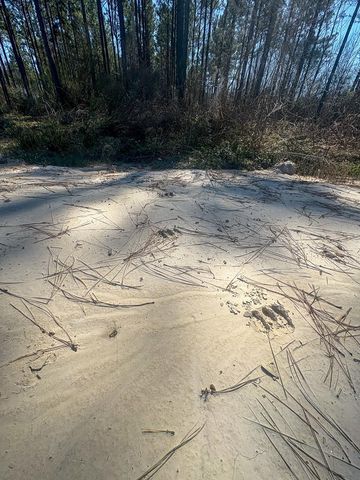 1653 Private Road 8160, Lovelady, TX 75851