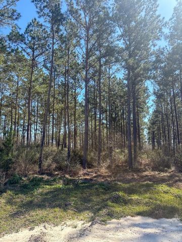 1653 Private Road 8160, Lovelady, TX 75851