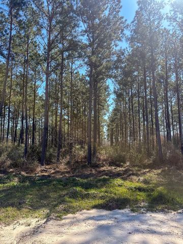 1653 Private Road 8160, Lovelady, TX 75851