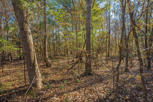 9464 Falling Embers Lane, Ladson, SC 29456