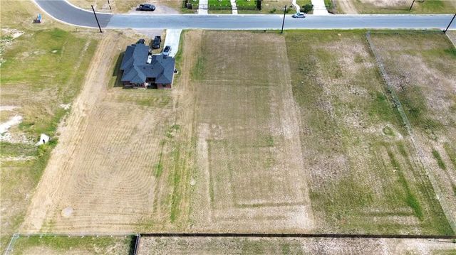 23217 Vista Drive, Monte Alto, TX 78538